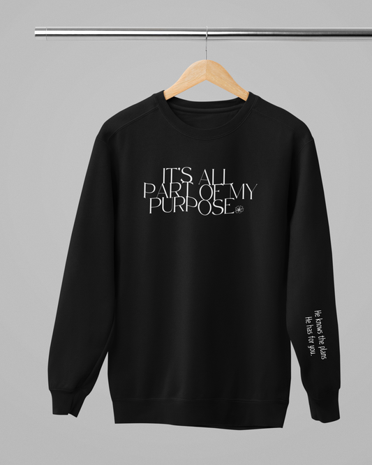 It’s All Part of My Purpose- Hoodie